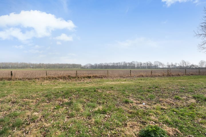 Foto 49 van Margriet 44