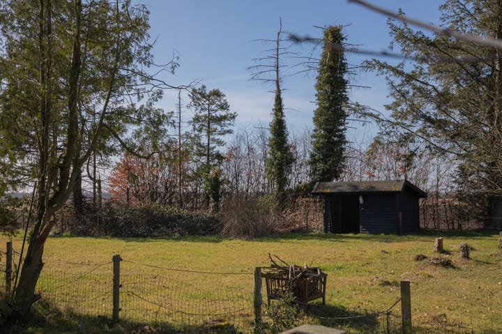 Foto 44 van Zijtak 10