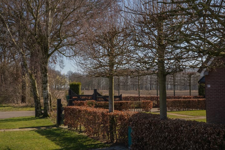 Foto 45 van Zijtak 10