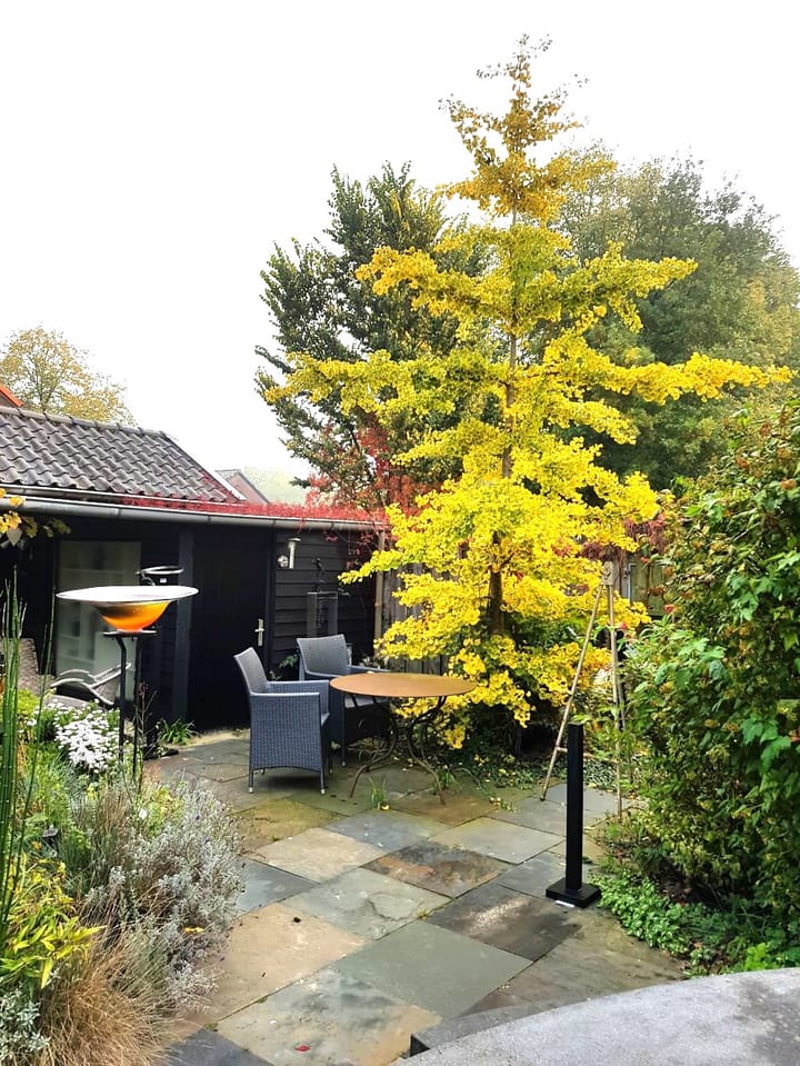 Foto 43 van Eerbeekseweg 13-A