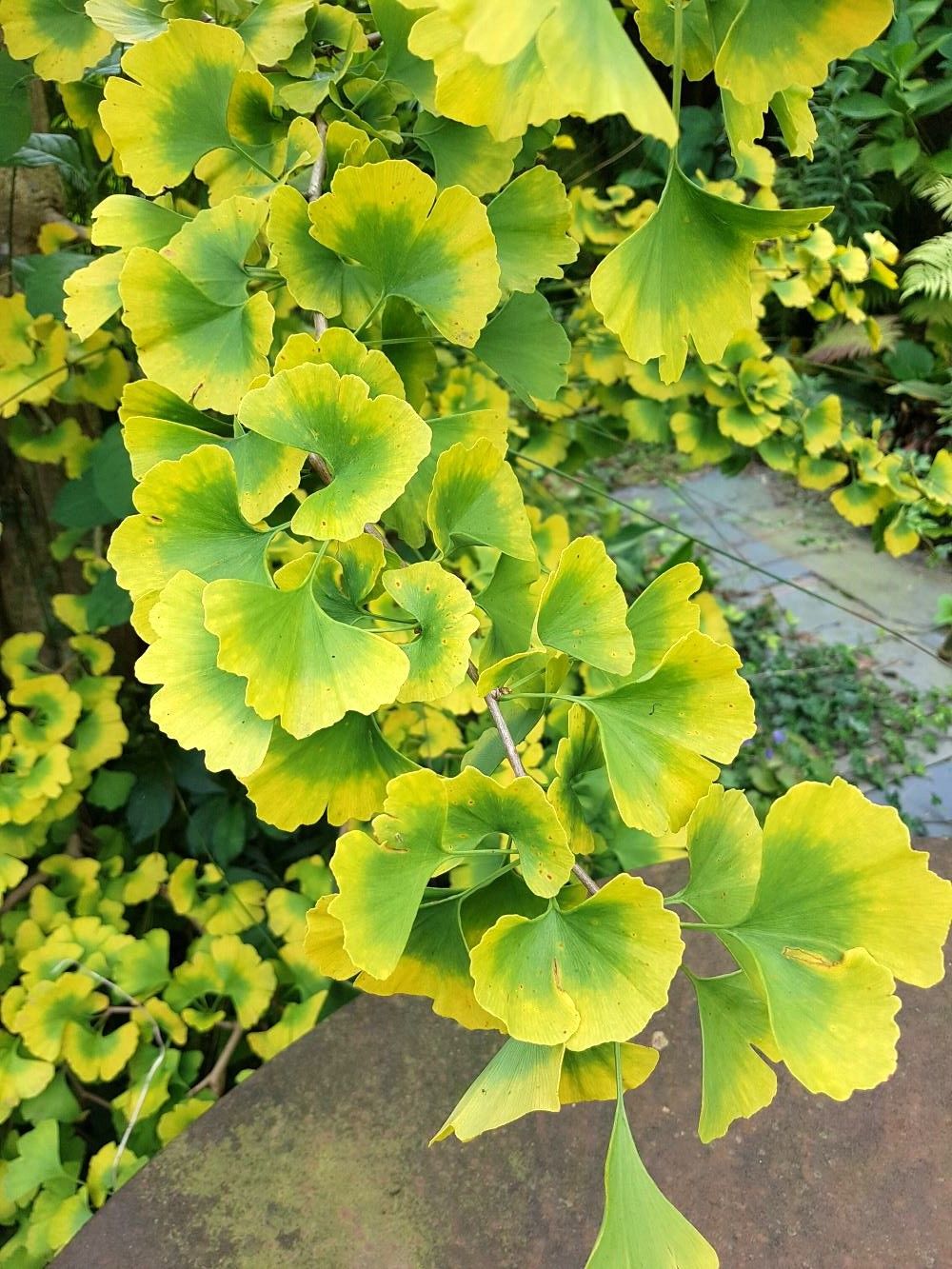 Foto 49 van Eerbeekseweg 13-A