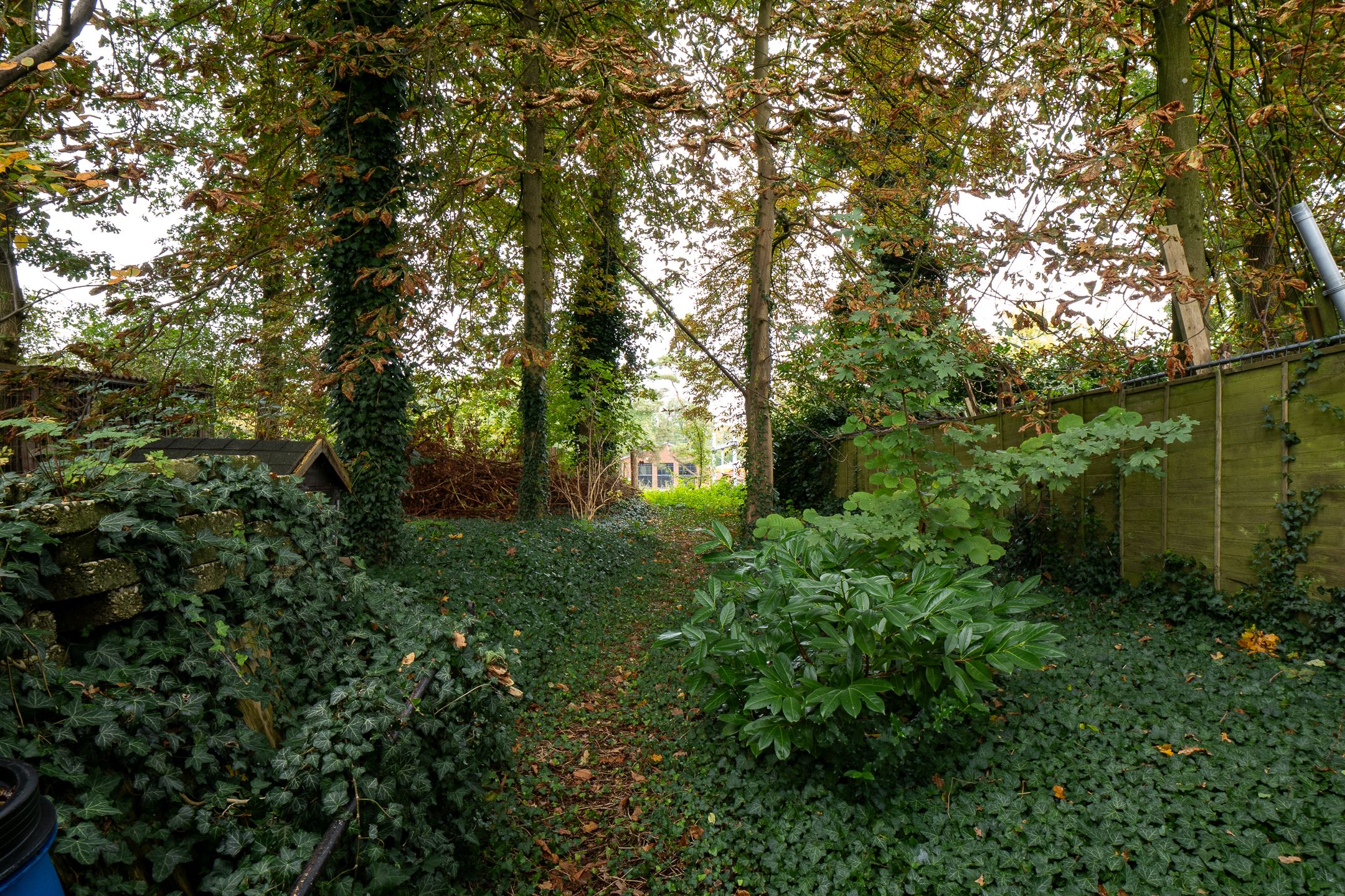 Foto 45 van Grotestraat 316