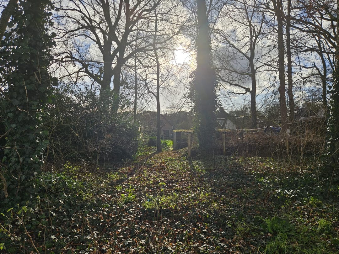 Foto 47 van Grotestraat 316