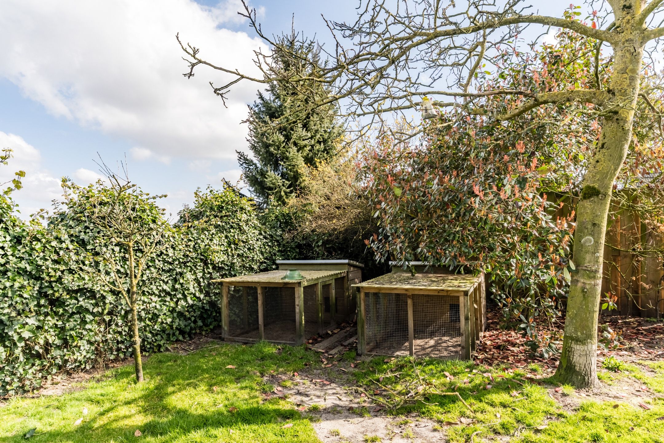 Foto 48 van Wagenstraat 37