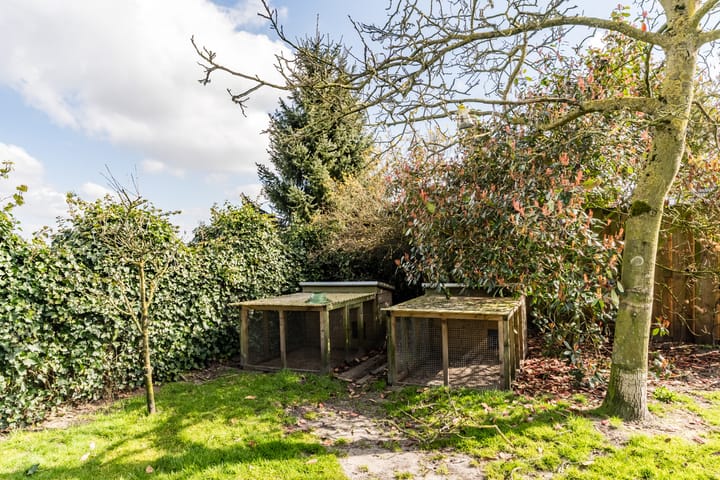 Foto 48 van Wagenstraat 37