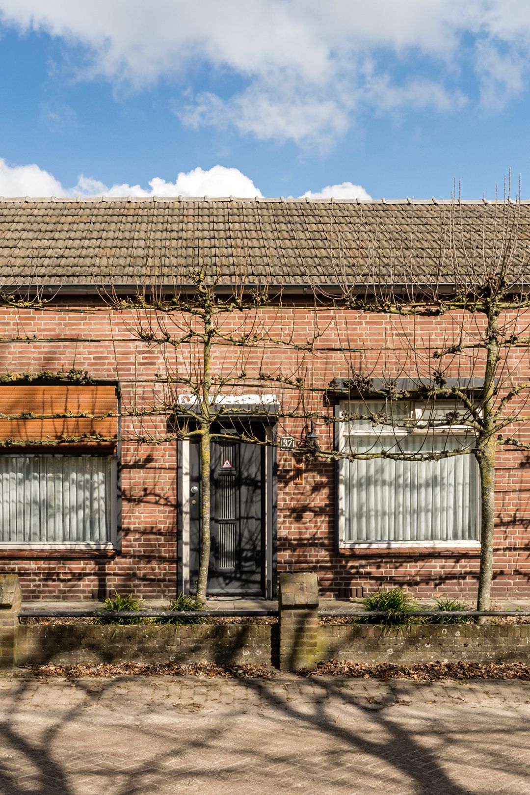 Foto 58 van Wagenstraat 37