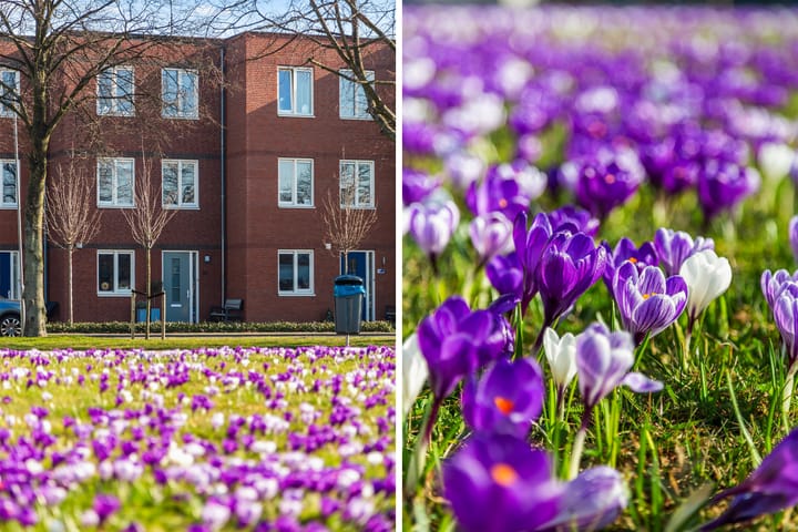 Foto 5 van Burg. Schwartzlaan 36