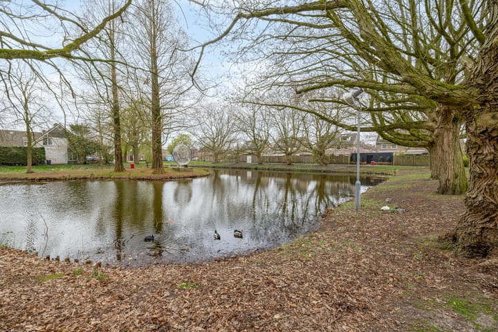 Foto 36 van Watersnip 19