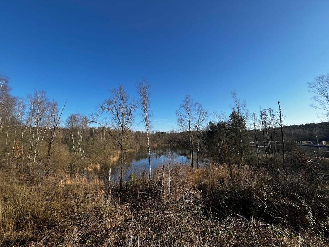 Foto 8 van Maalbekerweg 25-2062