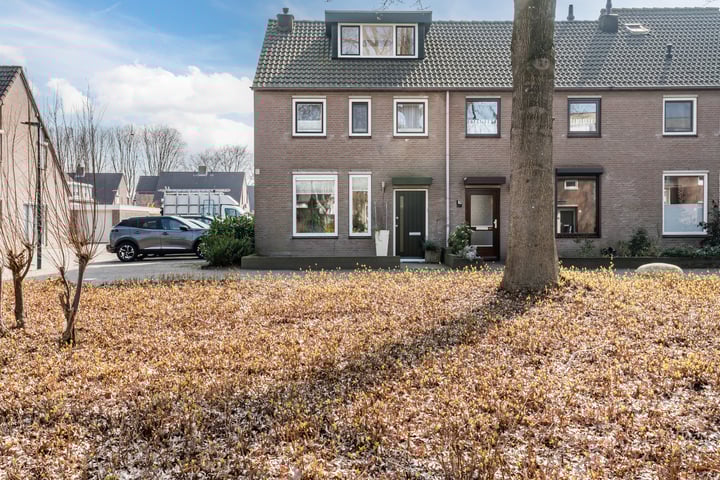 Bekijk foto van Pruimengaarde 1