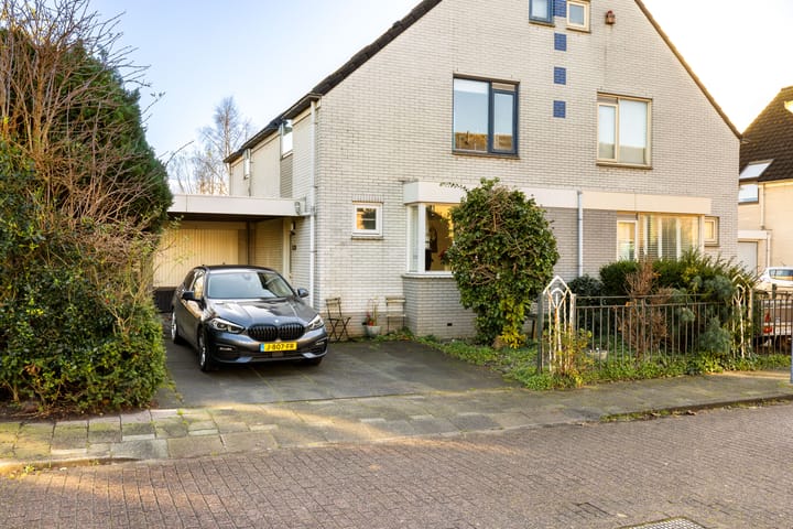 Foto 3 van Kemphaan 1