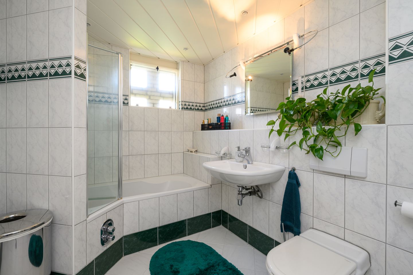 Foto 25 van Meerkoet 118