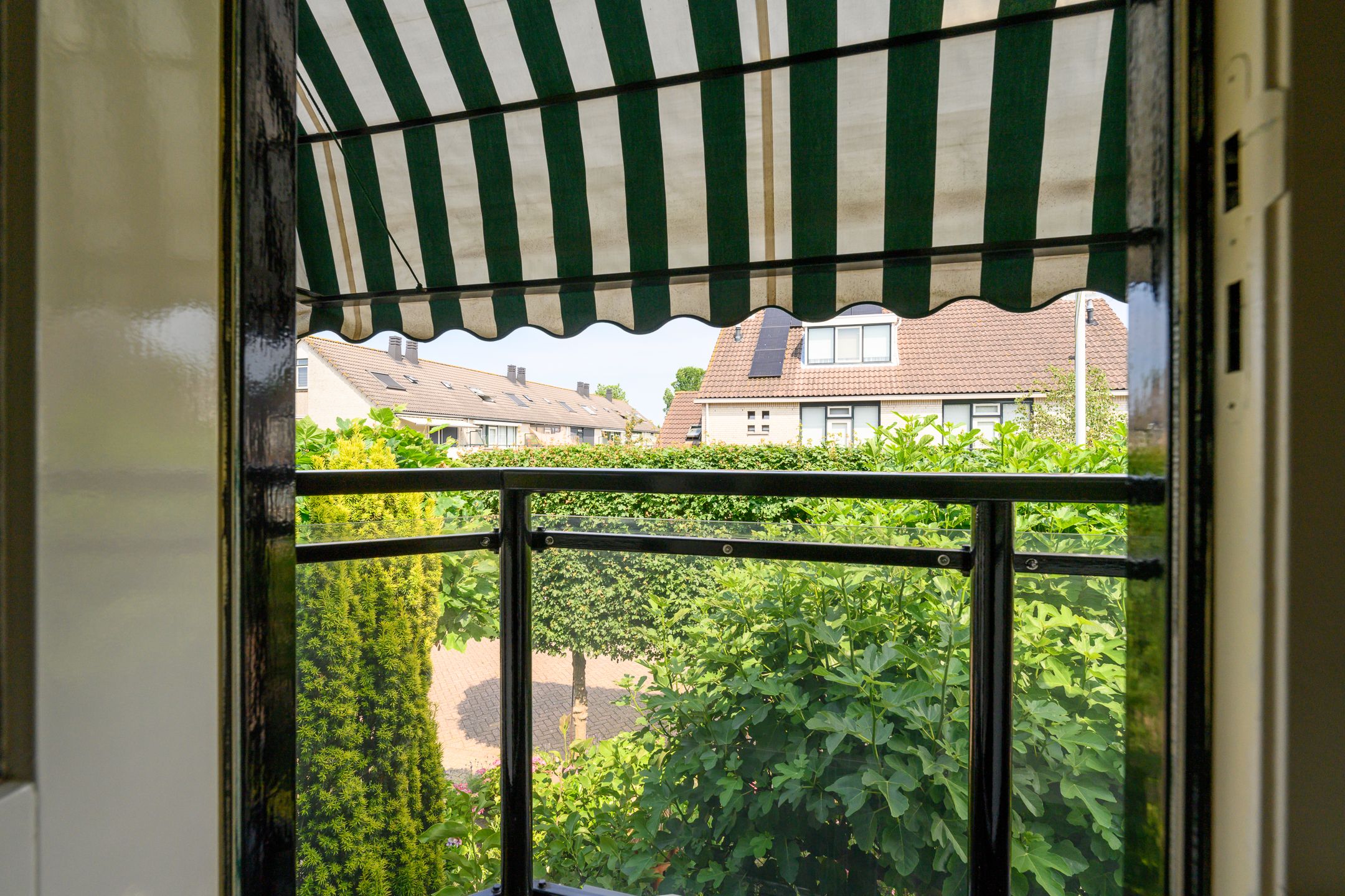 Foto 30 van Meerkoet 118