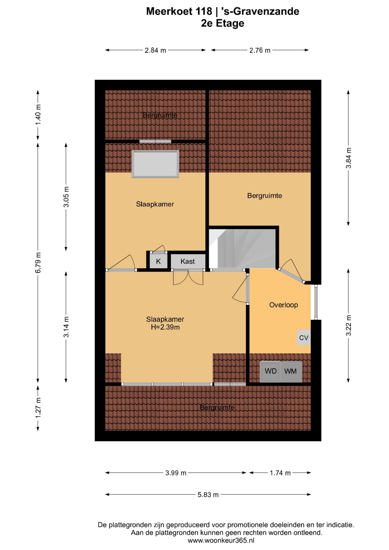 Foto 45 van Meerkoet 118