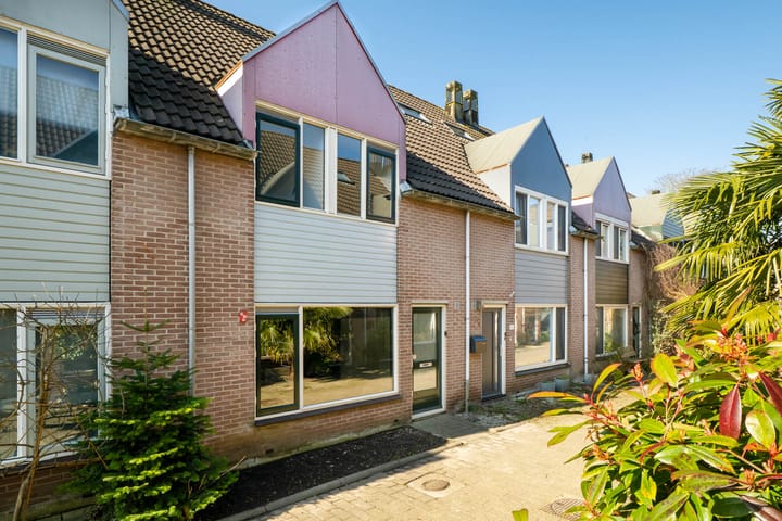 Foto 1 van Ridderspoor 37