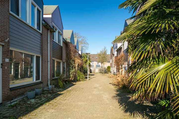 Foto 5 van Ridderspoor 37