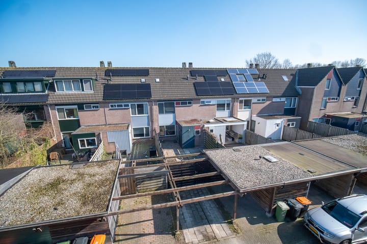 Foto 4 van Ridderspoor 37