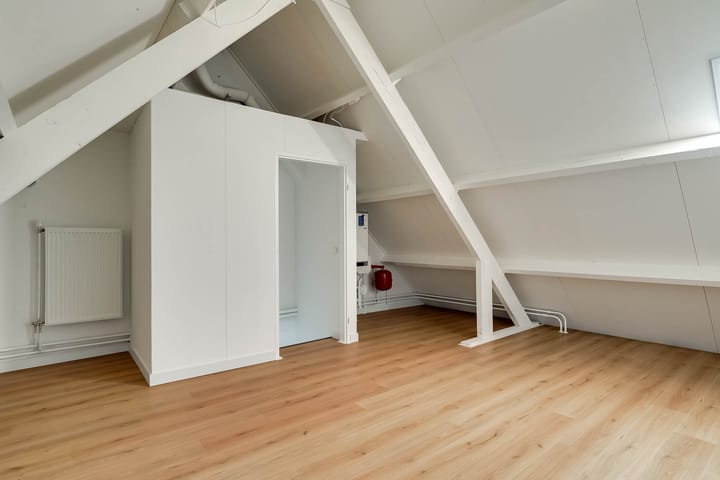 Foto 36 van Ridderspoor 37