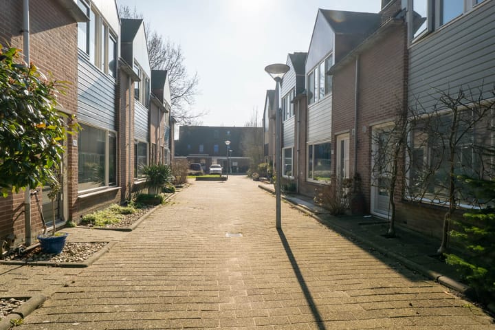 Foto 40 van Ridderspoor 37