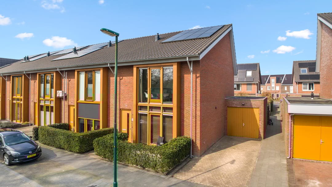 Foto 1 van Duizendblad 11