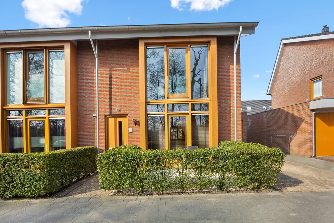 Foto 2 van Duizendblad 11