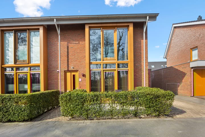 Foto 2 van Duizendblad 11