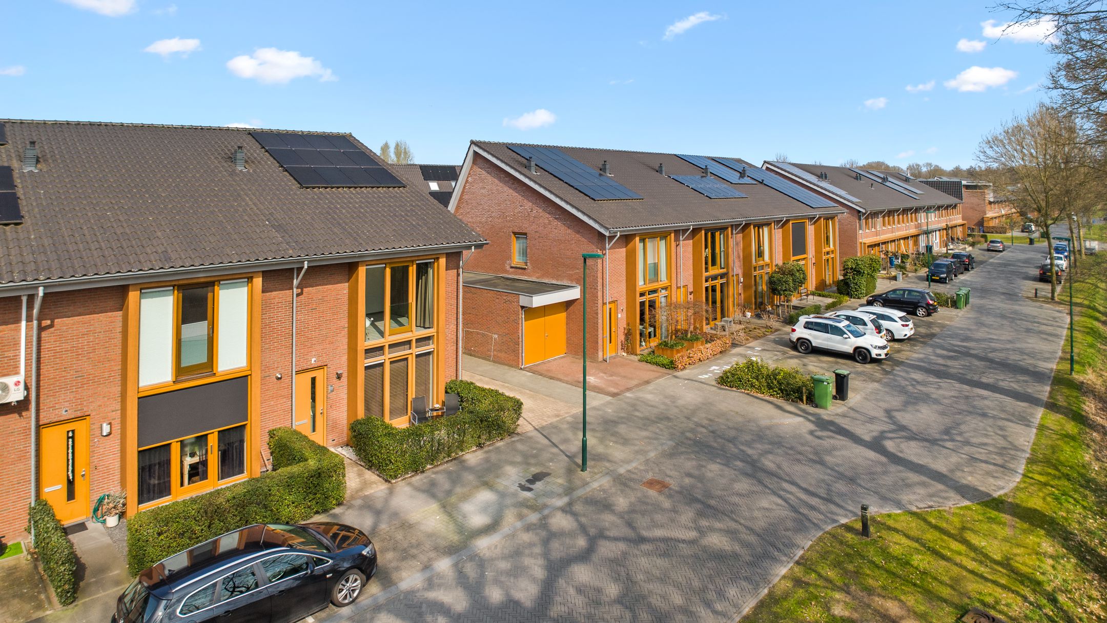 Foto 3 van Duizendblad 11