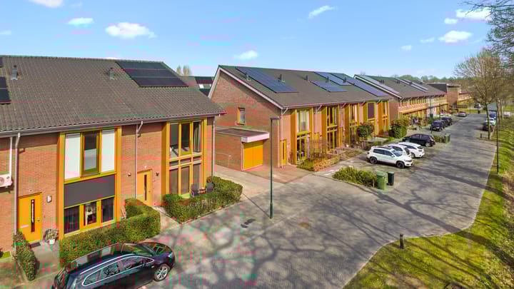 Foto 3 van Duizendblad 11