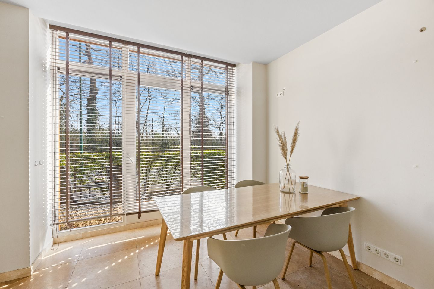 Foto 10 van Duizendblad 11