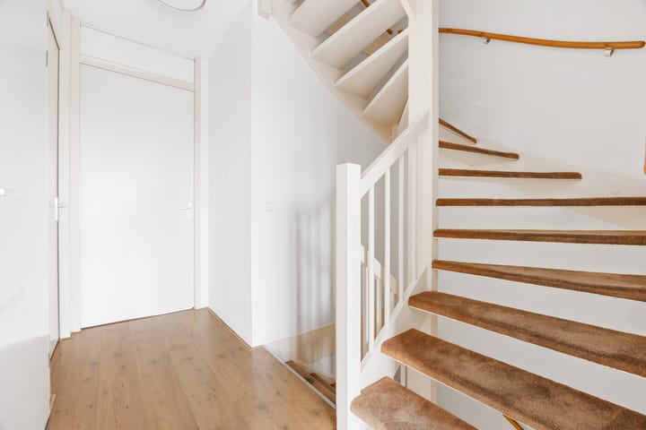 Foto 14 van Duizendblad 11