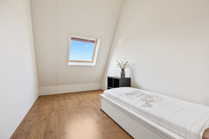 Foto 24 van Duizendblad 11