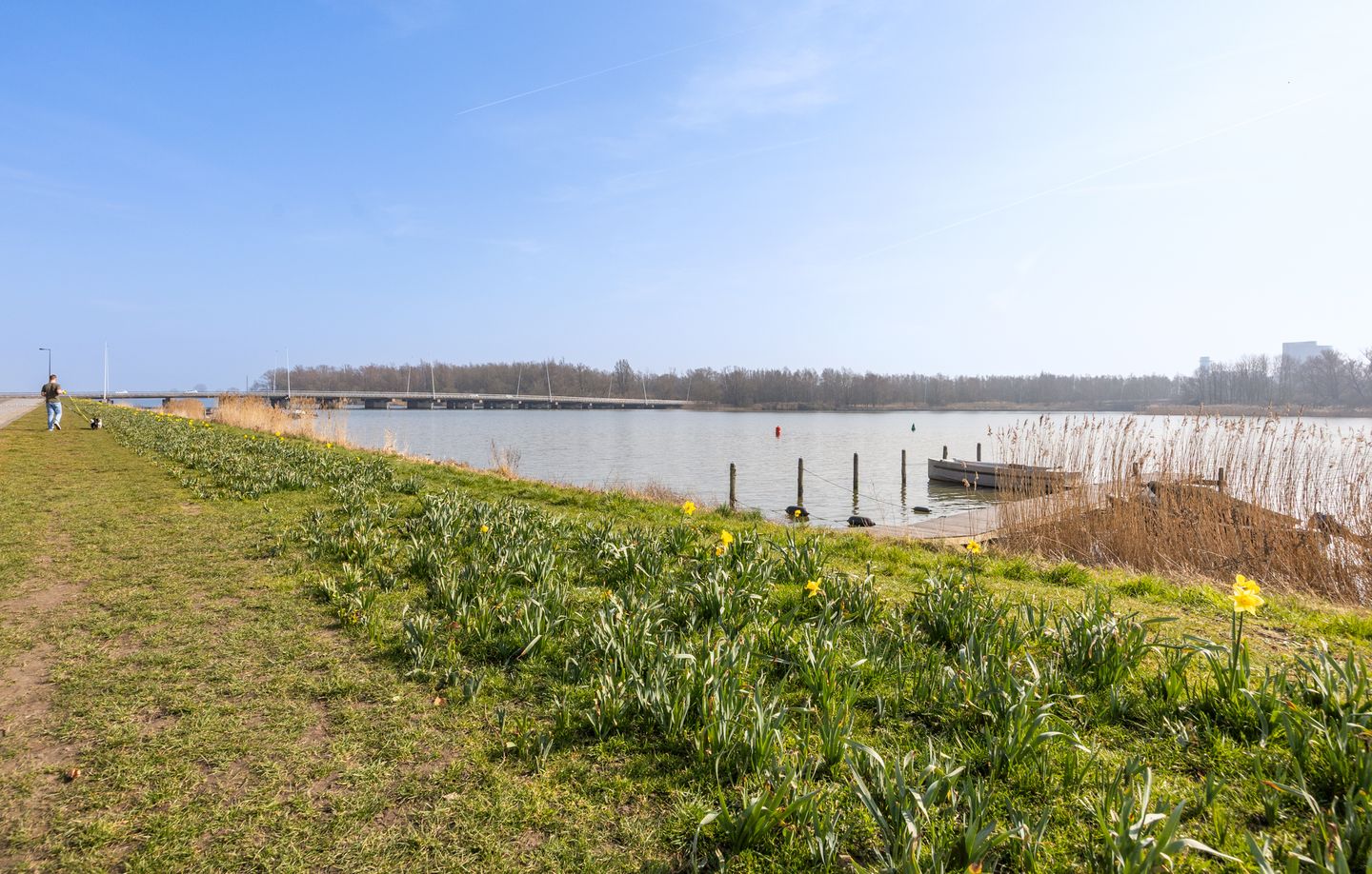 Foto 35 van Emmy Andriessestraat 398