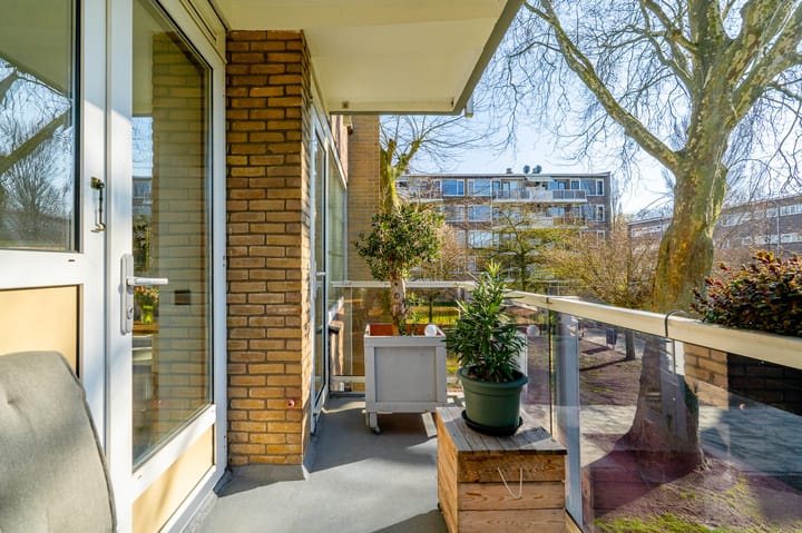 Foto 22 van Julianaplantsoen 180