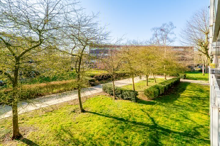 Foto 37 van Julianaplantsoen 180