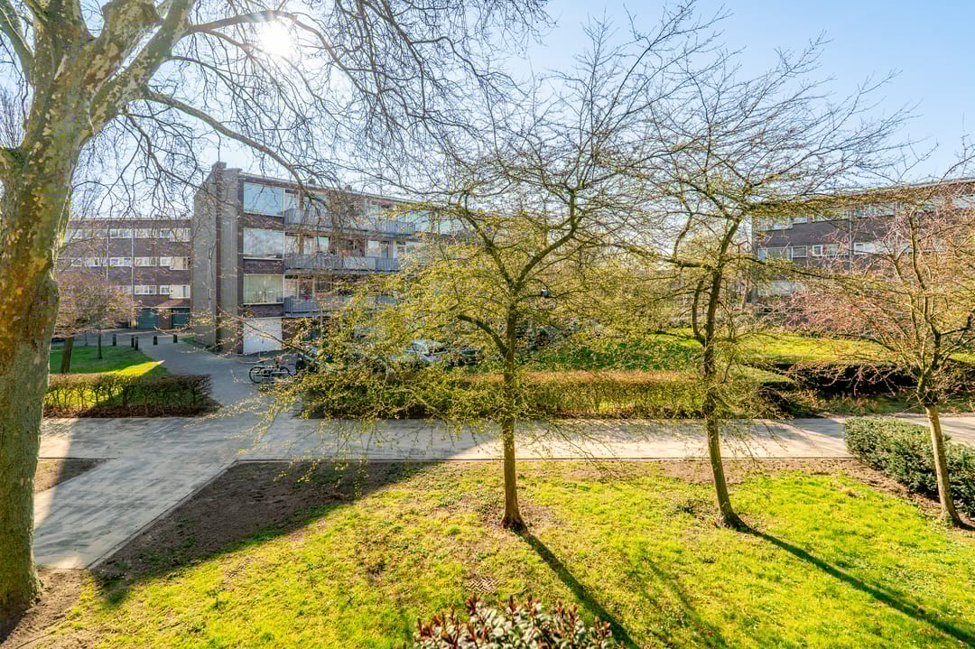 Photo 38 of Julianaplantsoen 180