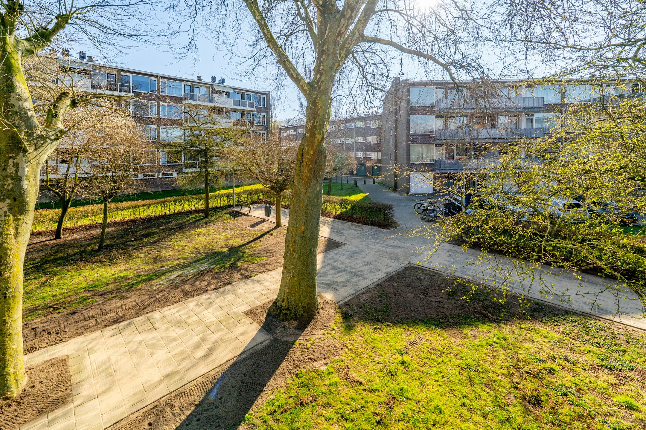 Photo 39 of Julianaplantsoen 180