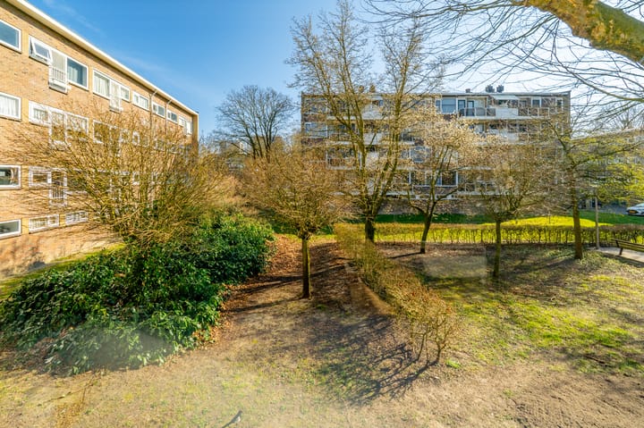 Foto 40 van Julianaplantsoen 180