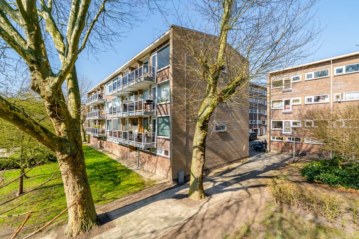 Foto 42 van Julianaplantsoen 180