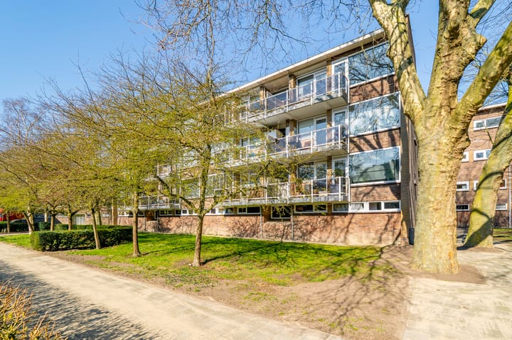 Foto 43 van Julianaplantsoen 180