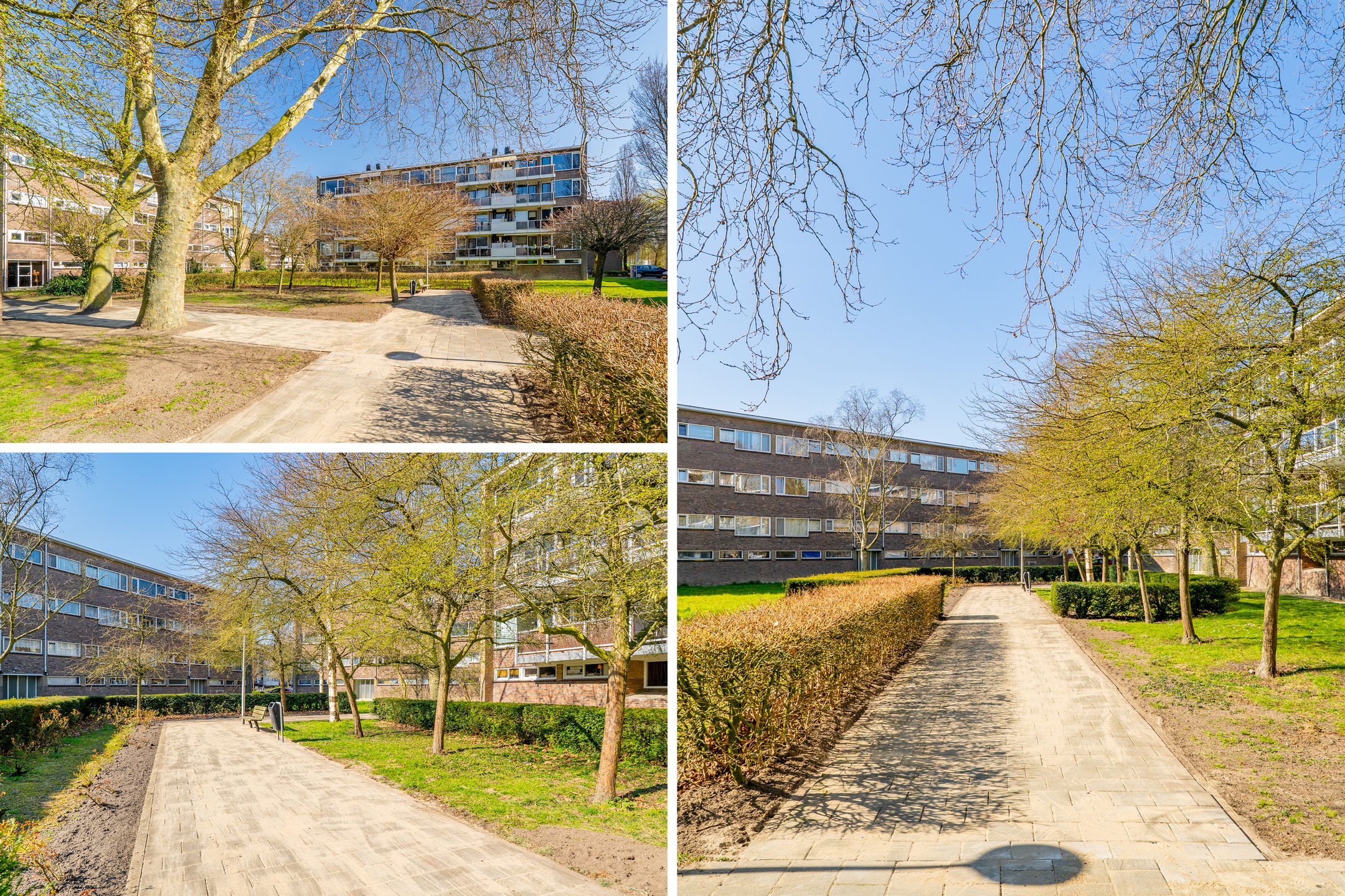 Photo 51 of Julianaplantsoen 180