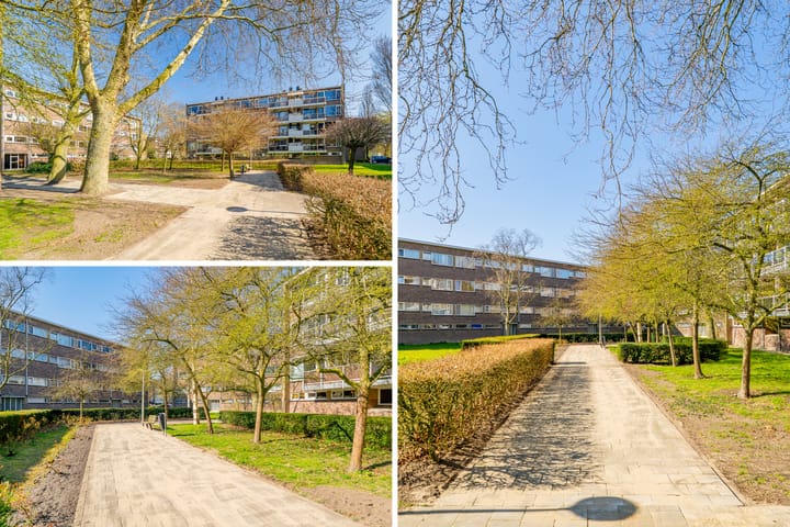 Foto 51 van Julianaplantsoen 180