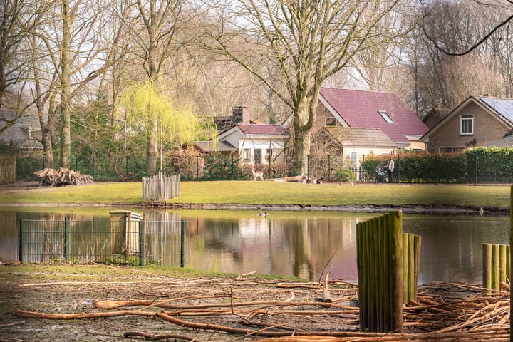 Foto 57 van Ben Viegersstraat 20