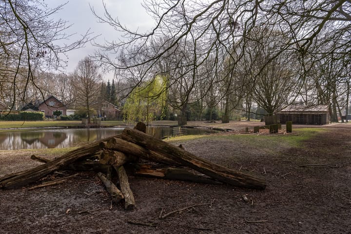 Foto 61 van Ben Viegersstraat 20