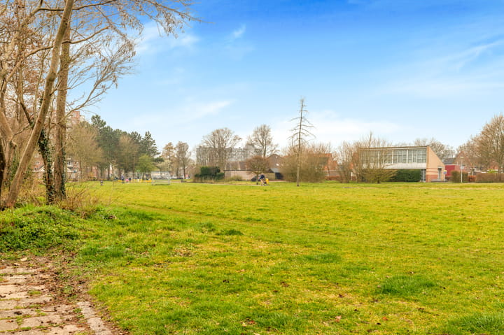 Foto 45 van Dobbestraat 24