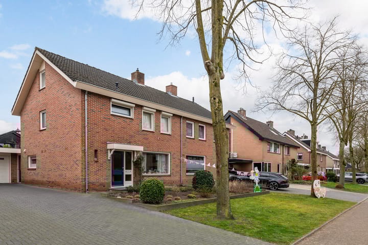 Photo 1 of Wansink 5