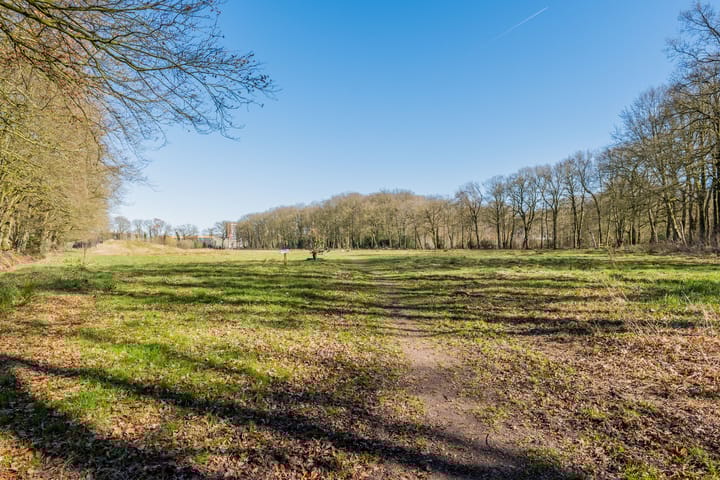 Foto 34 van Gouwe 23