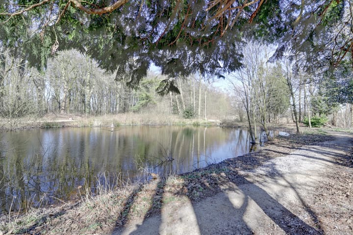 Foto 5 van Leypad 21