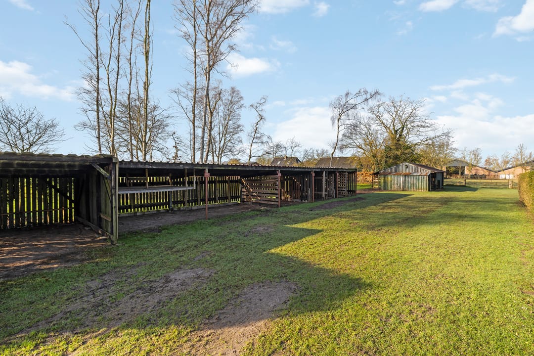 Photo 38 of Kletterstraat 17