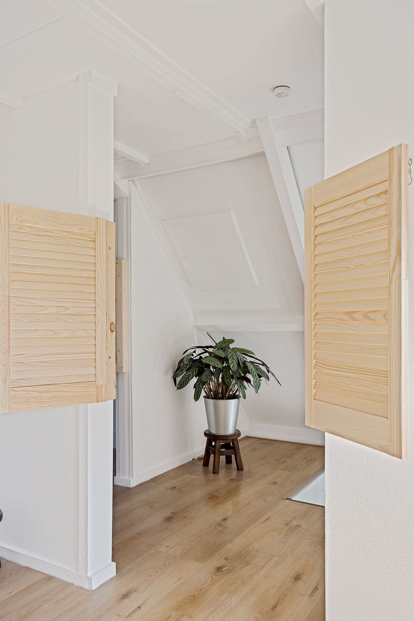 Foto 29 van Westelijke Doorsnee NZ 108