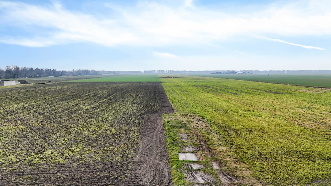 Foto 47 van Westelijke Doorsnee NZ 108